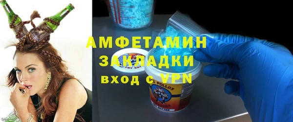 ГАЛЛЮЦИНОГЕННЫЕ ГРИБЫ Горняк