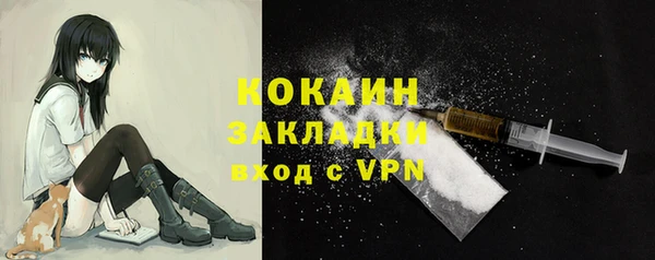 ГАЛЛЮЦИНОГЕННЫЕ ГРИБЫ Горняк