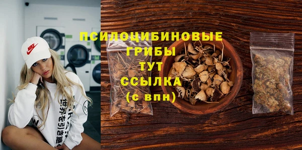 ГАЛЛЮЦИНОГЕННЫЕ ГРИБЫ Горняк