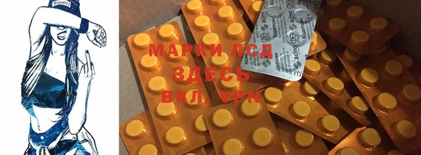 ГАЛЛЮЦИНОГЕННЫЕ ГРИБЫ Горняк