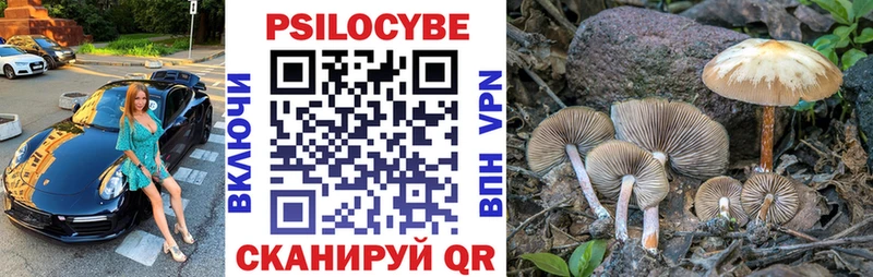 Купить закладки  Карталы  Галлюциногенные грибы Cubensis 
